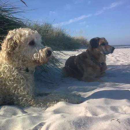 Am Stettiner Haff * Monkebude